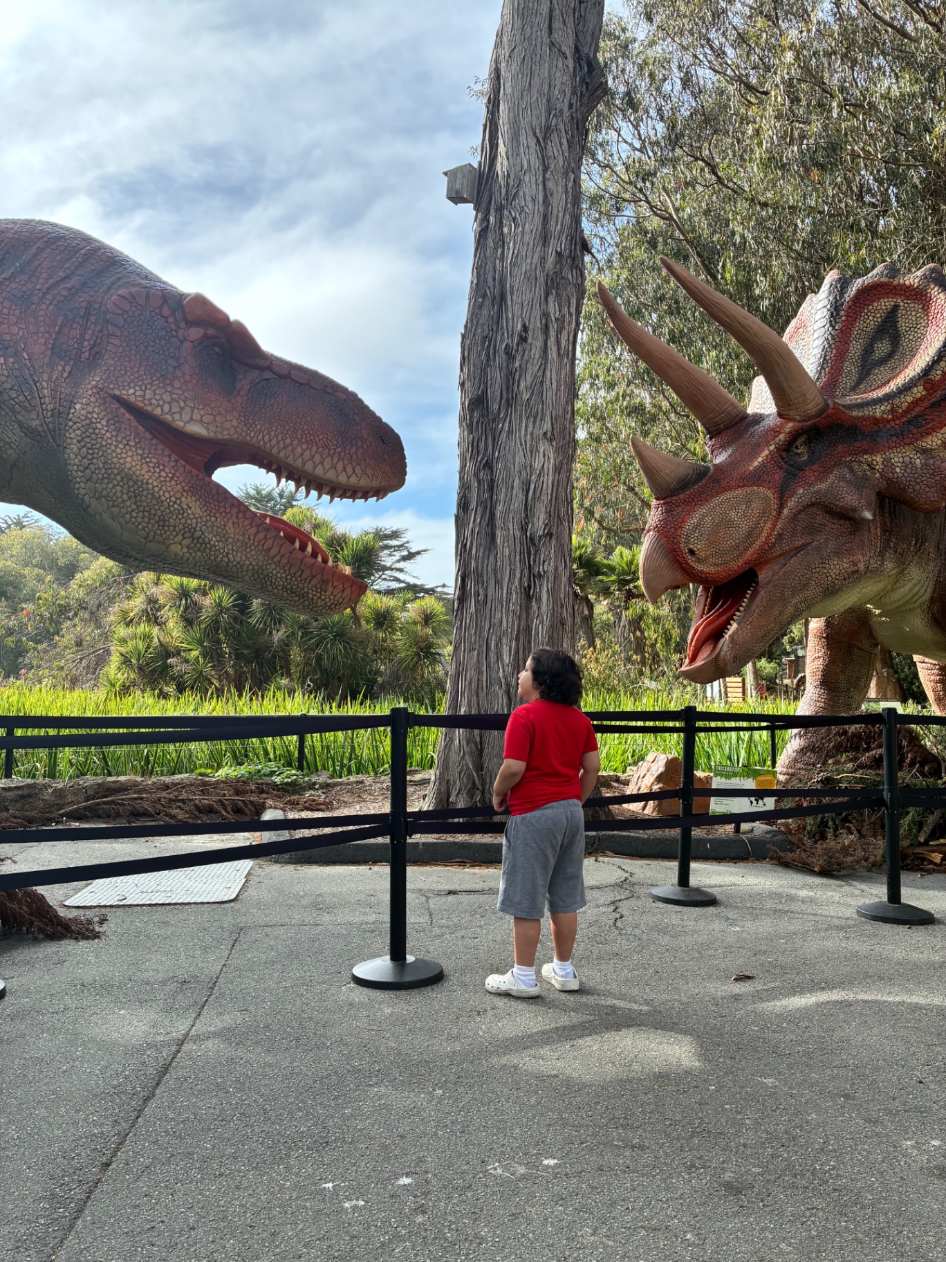 My son meets the dinosaurs